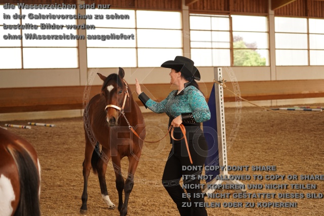 s_A_901249.JPG